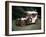 1904 Mercedes 28/32 Hp-null-Framed Photographic Print