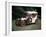 1904 Mercedes 28/32 Hp-null-Framed Photographic Print