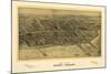1906 Coney Island Map-N. Harbick-Mounted Art Print