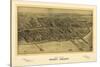 1906 Coney Island Map-N. Harbick-Stretched Canvas