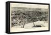 1906, Omaha 1906 Bird's Eye View, Nebraska, United States-null-Framed Stretched Canvas