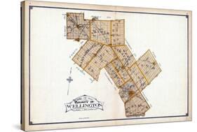 1906, Wellington County Map, Canada-null-Stretched Canvas