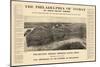1908, Philadelphia Bird's Eye View, Pennsylvania, United States-null-Mounted Giclee Print