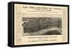 1908, Philadelphia Bird's Eye View, Pennsylvania, United States-null-Framed Stretched Canvas
