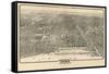 1910 Chicago Map-N^ Harbick-Framed Stretched Canvas