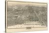 1910 Chicago Map-N^ Harbick-Stretched Canvas