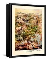 1910, Yellowstone 1910 Bird's Eye View, Wyoming, United States-null-Framed Stretched Canvas