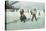 1912 Ice Hockey in Swiss-null-Stretched Canvas