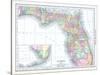 1913, United States, Florida, North America-null-Stretched Canvas