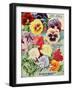 1915 Maule Seeds Pansies-Vintage Apple Collection-Framed Giclee Print