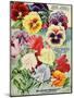 1915 Maule Seeds Pansies-Vintage Apple Collection-Mounted Giclee Print