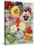 1915 Maule Seeds Pansies-Vintage Apple Collection-Stretched Canvas