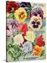 1915 Maule Seeds Pansies-Vintage Apple Collection-Stretched Canvas