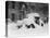 1920's Model Car Is Covered with Snow after a January 1922 Blizzard in Washington, D.C-null-Stretched Canvas