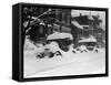 1920's Model Cars are Covered with Snow after January 1922 Blizzard in Washington, D.C-null-Framed Stretched Canvas