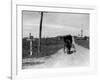 1920s-1930s Amish Man Driving Buggy Down Rural Dirt Road in Farm Country-null-Framed Photographic Print
