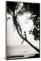 1920s ANONYMOUS SILHOUETTED YOUNG WOMAN MOVIE ACTRESS CLIMBING SITTING ON PALM TREE TRUNK SUSPEN...-H. Armstrong Roberts-Mounted Photographic Print