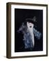 1920s Lady with Feather Boa-Susan Adams-Framed Giclee Print