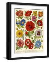 1920s UK Flowers Magazine Plate-null-Framed Giclee Print