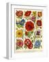 1920s UK Flowers Magazine Plate-null-Framed Giclee Print