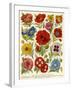 1920s UK Flowers Magazine Plate-null-Framed Giclee Print