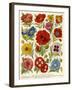 1920s UK Flowers Magazine Plate-null-Framed Giclee Print