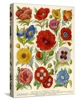 1920s UK Flowers Magazine Plate-null-Stretched Canvas