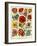 1920s UK Flowers Magazine Plate-null-Framed Premium Giclee Print