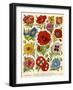 1920s UK Flowers Magazine Plate-null-Framed Premium Giclee Print