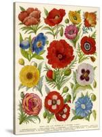 1920s UK Flowers Magazine Plate-null-Stretched Canvas