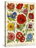 1920s UK Flowers Magazine Plate-null-Stretched Canvas