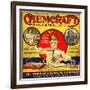 1920s USA The Porter Chemical Company Magazine Advertisement-null-Framed Giclee Print