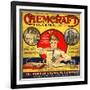 1920s USA The Porter Chemical Company Magazine Advertisement-null-Framed Giclee Print