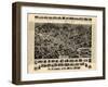 1925, Hicksville Aero View, New York, United States-null-Framed Giclee Print