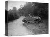 1930 Chrysler of P Richards-Brown competing in the JCC Lynton Trial, 1932-Bill Brunell-Stretched Canvas
