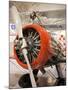 1930s-Era Number 44 We Will Racing Airplane, Weddel-Williams Air Racing Museum, Patterson, LA-Walter Bibikow-Mounted Photographic Print