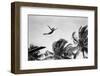 1930s GIRL IN MID AIR DIVING INTO SWIMMING POOL PALM TREES IN BACKGROUND-H. Armstrong Roberts-Framed Photographic Print