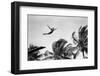 1930s GIRL IN MID AIR DIVING INTO SWIMMING POOL PALM TREES IN BACKGROUND-H. Armstrong Roberts-Framed Photographic Print