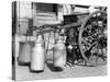 1930s Muzzled Dog Used to Pull Milk Cart Sitting under the Cart Hamburg Germany-null-Stretched Canvas