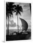 1930s Single Catamaran on Tropical Beach at Sunset Palm Trees Sri Lanka-null-Framed Photographic Print