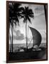 1930s Single Catamaran on Tropical Beach at Sunset Palm Trees Sri Lanka-null-Framed Photographic Print