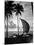 1930s Single Catamaran on Tropical Beach at Sunset Palm Trees Sri Lanka-null-Mounted Photographic Print