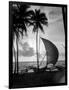 1930s Single Catamaran on Tropical Beach at Sunset Palm Trees Sri Lanka-null-Framed Photographic Print