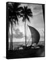 1930s Single Catamaran on Tropical Beach at Sunset Palm Trees Sri Lanka-null-Framed Stretched Canvas