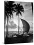 1930s Single Catamaran on Tropical Beach at Sunset Palm Trees Sri Lanka-null-Stretched Canvas