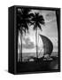 1930s Single Catamaran on Tropical Beach at Sunset Palm Trees Sri Lanka-null-Framed Stretched Canvas