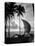 1930s Single Catamaran on Tropical Beach at Sunset Palm Trees Sri Lanka-null-Stretched Canvas