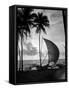 1930s Single Catamaran on Tropical Beach at Sunset Palm Trees Sri Lanka-null-Framed Stretched Canvas