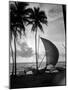 1930s Single Catamaran on Tropical Beach at Sunset Palm Trees Sri Lanka-null-Mounted Photographic Print