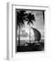 1930s Single Catamaran on Tropical Beach at Sunset Palm Trees Sri Lanka-null-Framed Photographic Print